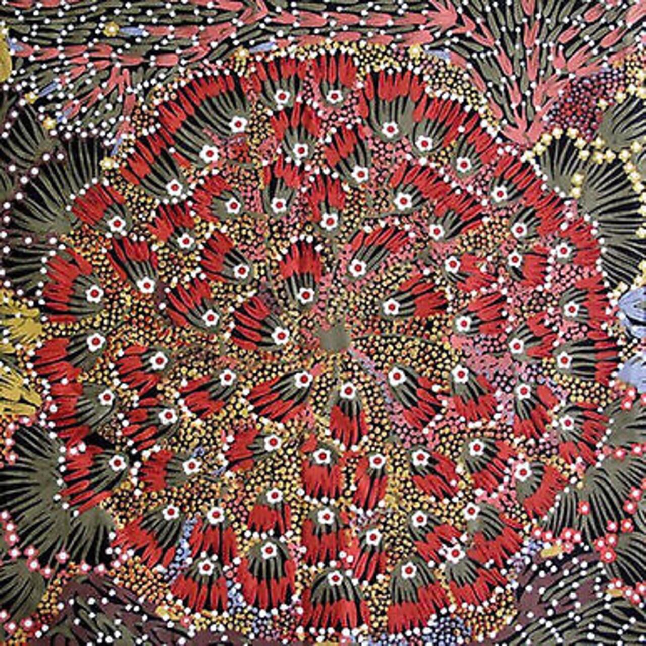 Bush Banana Australian Aboriginal Cotton Fabric by M S Textiles